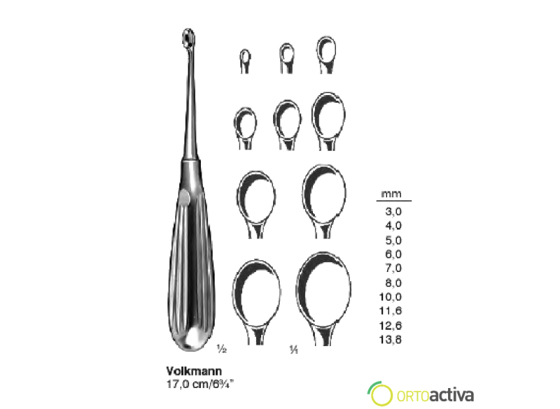 CUCHARILLA CORTANTE BRUNS