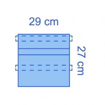 BOLSA DE INSTRUMENTAL 27 x...